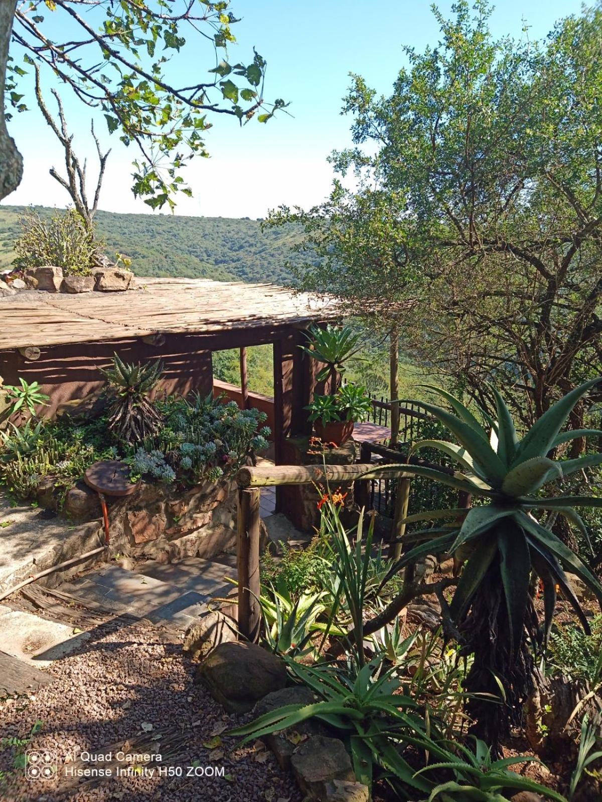 Leopards And Louries Bush Lodge Camperdown Exterior foto