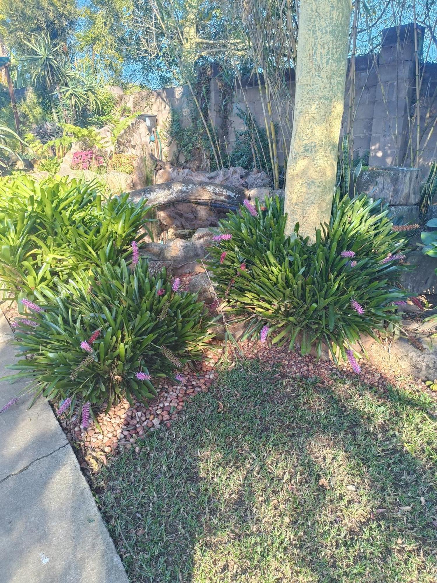 Leopards And Louries Bush Lodge Camperdown Exterior foto
